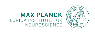 Max Planck Florida Institute for Neuroscience logo